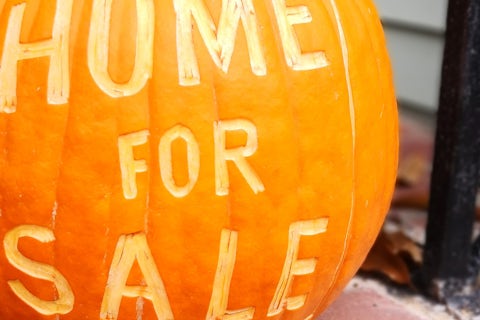 NEW BLOG HEADER SIZE 2024 (27)